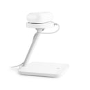 Twelve South Forte for iPhone