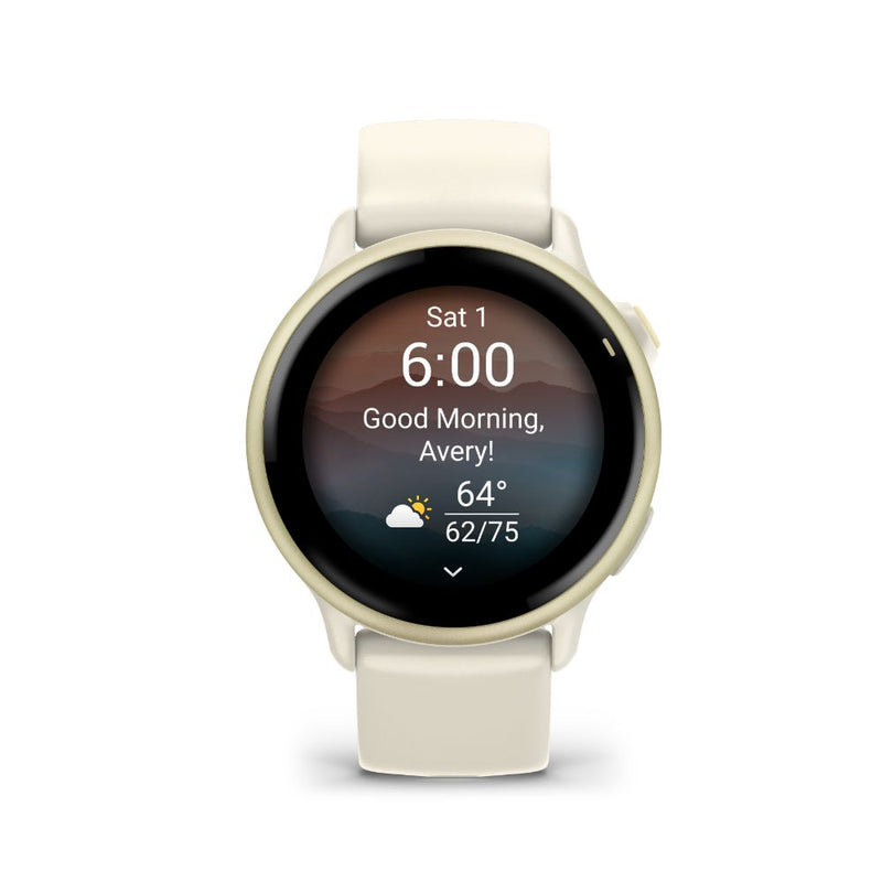 Garmin Vivoactive 6 (Slate with Black Silicone Band) copy