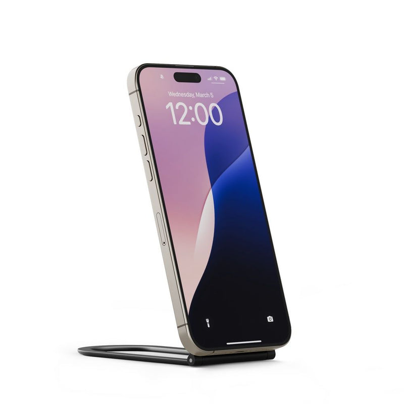 Twelve South Curve Nano Slate