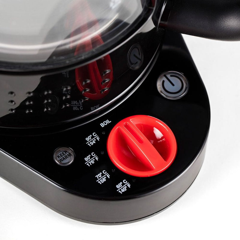Electric water kettle with temperature control discount
